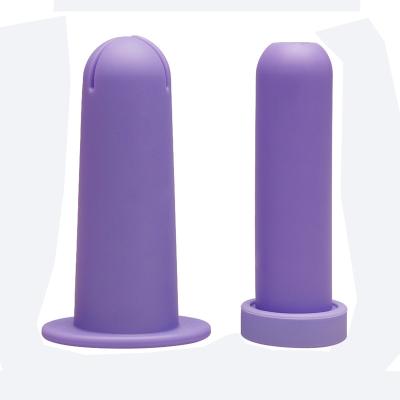 China New Silicone Henrich Menstrual Cup Applicator Colorful Purple Reusable Female Menstrual Period Medical Grade for sale