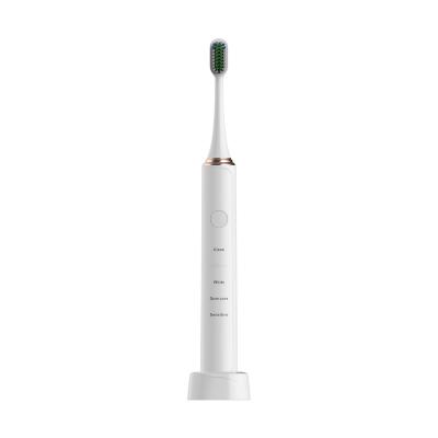 China High Quality Sonic Rechargeable Electric Toothbrush Waterproof Travel SNK Adult Ron-T14 for sale