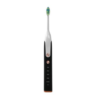 China Household Ultrasonic Rechargeable Toothbrushes Electric Sonic OEM Whitening Smart Electric Toothbrush For Adult for sale