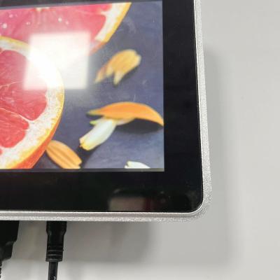 Cina OEM Brightness Embedded LCD Display Monitor 1000 Nits 1024x600 in vendita