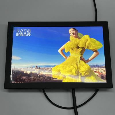 China LED IPS LCD Display Panel Monitor Screen 1920x1200 Resolution Wide Viewing Angle Te koop