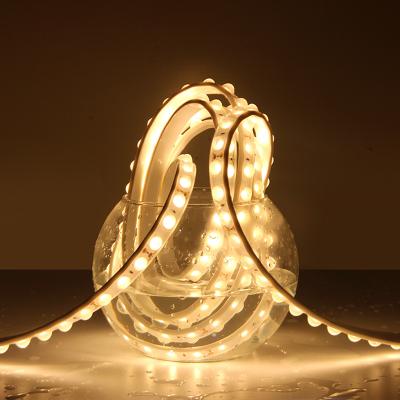 China Competitive Price Universal 2835 LED Strip Light Window Sauce 120LEDS/m DC12V/24V 19.2W/M IP20 5M/Roll for sale