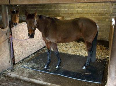 China Wear Resistant 17mm Stable Mats High Density Floor Mats For Horse for sale