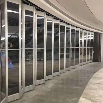 China Hot Sale Aluminum Frame Polycarbonate Transparent Panel Rolling Sliding Door for sale