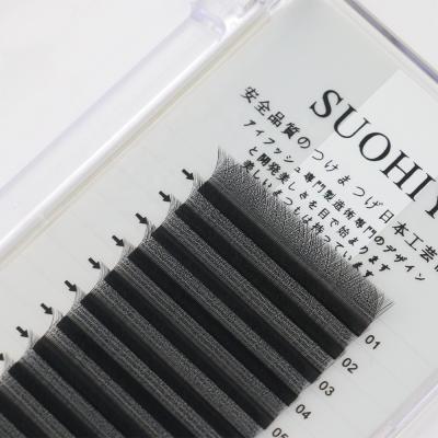 China Free Sample Natural Hot Selling Crisscross W Shape Super Long Black Individual Lashes Soft Clover Eyelash Extensions for sale