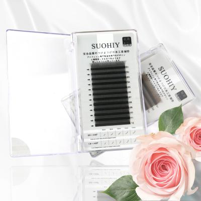 China Long Natural Free Samples W Shaped Natural Soft Clover Eyelash Premade Fan Volume Lash Extensions With Lowest Price for sale