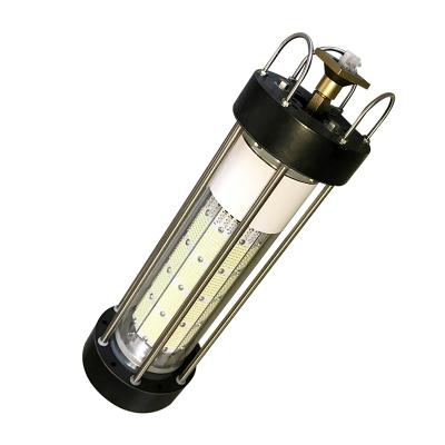 China High Power Deep Sea Fishing Attract Light 1000w Fishing Light Under Water Green Light 16*44cm for sale