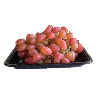 China Agriculture factory wholesale disposable food grade fruit packaging plastic tray for sale