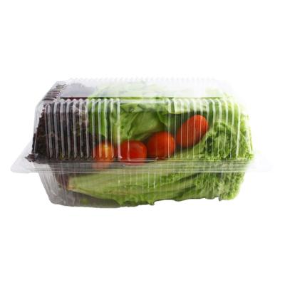 China Disposable Transparent Single Compartment Clamshell Salad Packing Box for sale