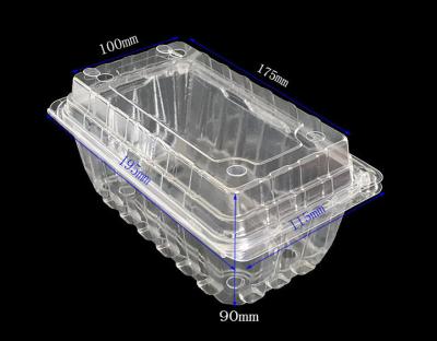 China Recyclable High Quality Packaging For Cherry Tomato Packaging Box Plastic Food Box for sale