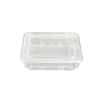 China Disposable Transparent PET Plastic Packaging Box With Lid For Dry Food Packaging for sale