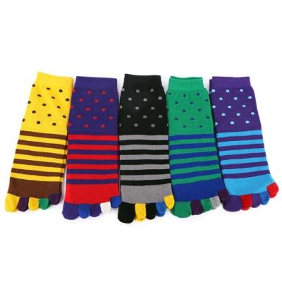 China Other Hot Sale Cute Five-toe Socks Colorful Striped Mid-tube Socks Polka Dot 5 Toe Socks for sale