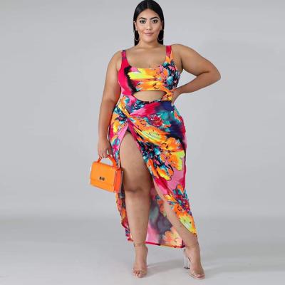 China Women Plus Size Floral Print Beach Wear Swim Dress Sexy Crop Tank Top Plus Size Two Piece Set Swimsuit for sale