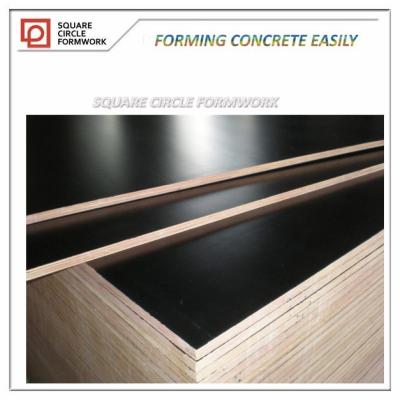 China Exterior Russian Birch Tego Film Faced Plywood for sale