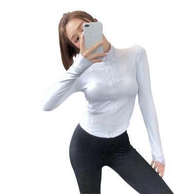 China New Breathable Women Sports Wear Custom Yoga Long Sleeve Crop Clothes Complement Common Wear Zipper Yoga Women Jacket Long Sleeve for sale