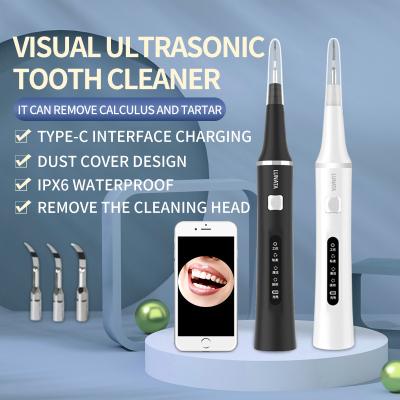 China Remove Stains Teeth Whitening Tartar Calculus Remove Acoiustic Tooth Cleaner Ultrasonic Vibration Tooth Cleaner for sale