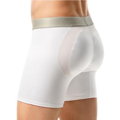 China Famous Brand Antibacterial Polyamide Mens Padded Underwear Mens Padded Bottoms Enhancer Boxer Brief for sale