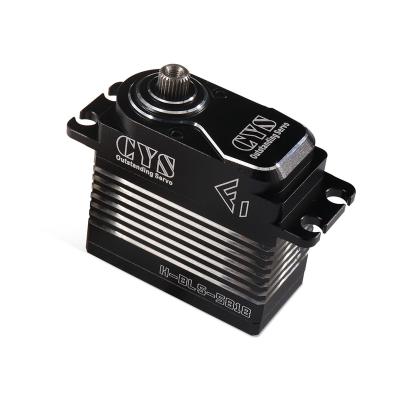 China High Torque RC Hobby Digital Brushless Motor Servo Driver With Gear Steel Servo OEM/ODM for sale