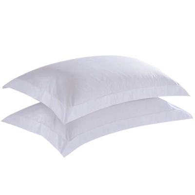 China 300T 60*40S cotton plain satin hilton luxury anti-static white pillowcase for sale