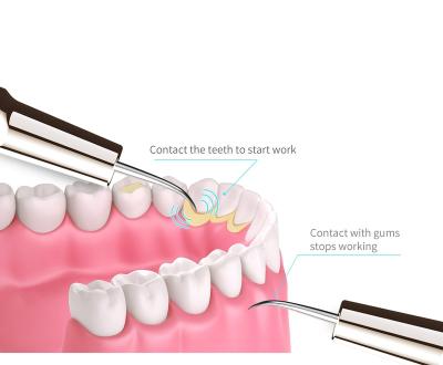 China For Home Use Ultrasonic Tooth Cleaners Remove Stubborn Tartar And Stains Tooth Scaler for sale