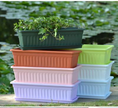 China Durable Plastic Biodegradable Rectangular Flower Pot Holds Flower Pot for sale