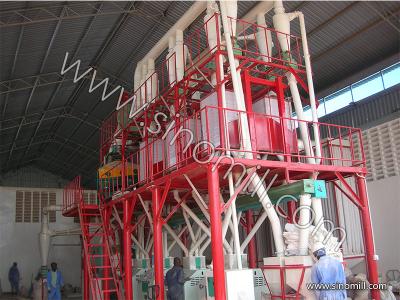 China 200T High quantity of Maize flour and grits machine made in china factory for sale