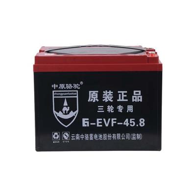 China Long life low price good quality lead acid battery equipment sealed lead acid rechargeable battery 48V 60V 45AH for sale