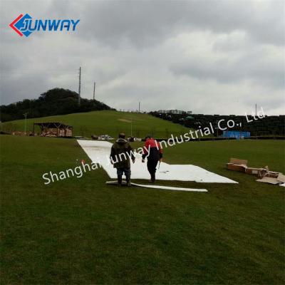 China Eco-Friendly Artificial Four-Season Slope Interlocking Ski Surface Dry Tile for sale