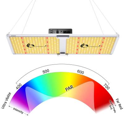 China Seed Starting Archibald Ar 2000 Led Plant Lamp 2021 Led Grow Lights 220W Samsung Lm301B Led Grow Light Grow Led for sale