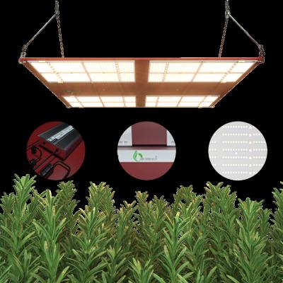 China Seed Starting Archibald Best LED Grow Lights 650W LM301H Hydroponic High Efficient Full Spectrum IR UV For Indoor Hydroponic Horticuture Grow for sale