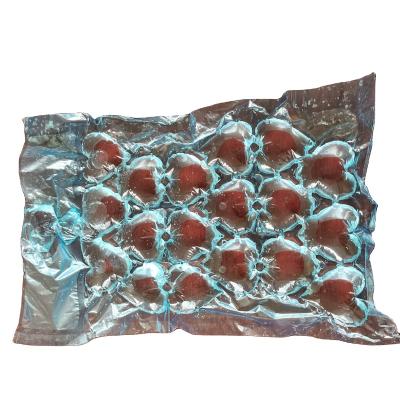 China 1/6 Waterproof Disposable Disposable Plastic Ice Bag Food Grade Safety Ice Cube Packing Bag For Making Ice Packs for sale