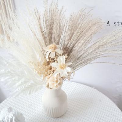 China BOHO Boho Style Real Pampas Grass Reed Natural Dried Plant Ornaments Wedding Flower Bouquet For Home Decor for sale