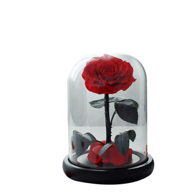 China Fashional Glass Dome Wholesale Beautiful Enchanted Preserved Forever Roses 2021 Most Pauplar Luxurious Valentines Day Gifts in Glass Dome for sale