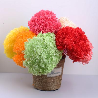 China Wholesale Home Decor House Decor Wedding Decoration Flower Preserved Hydrangea for sale