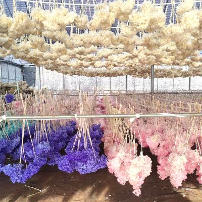 China House Factory Supplier Wholesale Home Decor Preserved Hydrangea Flower Valentine's Day Decor Wedding Decoration for sale