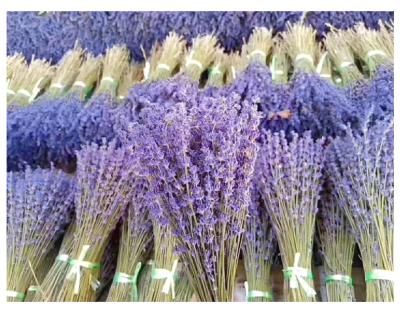 China 2021 Popular Dried French Dry Lavender Group Natural Fresh Lavender Most Flowers Preserved Lavender For Home Decoration for sale