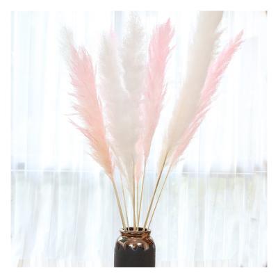 China 120cm Festival Flower Wedding Decorative Prundo Dry Home Fluffy Large Phragmites Thatch Pampas Grass for sale