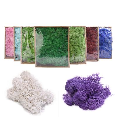 China 200g/real natural touch preserved wall water grass background wall decoration simulation moss box diy material package green plant for sale