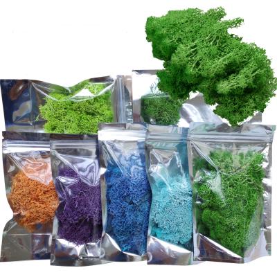 China Natural The Manufacturer 20g Preserved Moss Wholesale Grade By Material Bag 10g Indoor Wall Decoration DIY Valentine's Day for sale