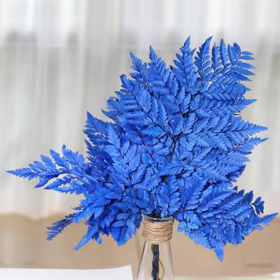 China Natural Fresh Fern Leaves 2021 Most Popular Supplier Yunnan Everlasting Fern Preserved Fern Leaves For Florist Accessories For Home Decoration for sale