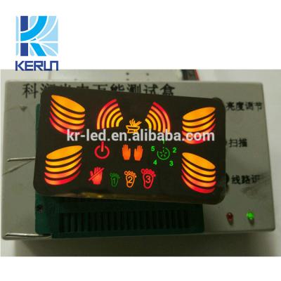 China Rice Cooker Custom 7 Segment Led Display Home Appliance Display Led 7 Segment Display for sale