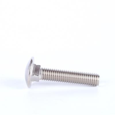 China Baiseke Extra Large Decorative Stainless Steel Carriage and Main Carriage Bolts Bolts for sale