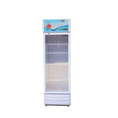 China Commercial Single-temperature Beverage Fridge Coke Display Cooler for sale