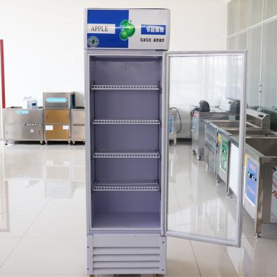 China Commercial Single-Temperature Display Freezer Fridge Refrigerator for sale