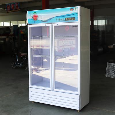 China New Style Single-temperature Glass Door Fridge Freezer Refrigerator for sale