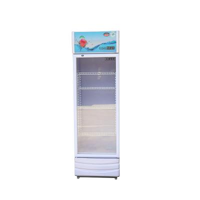 China Single-Temperature Glass Single Door Freezer Beverage Fridge Cooler with Cheap Price for sale