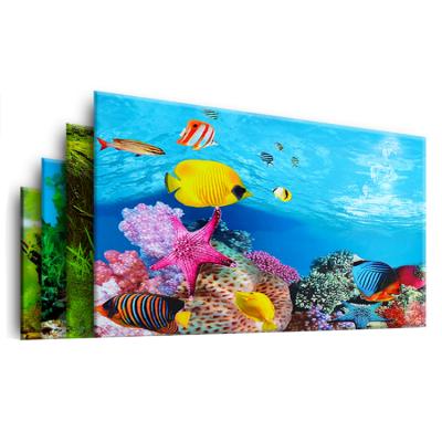 China Sustainable Aquarium Decoration Background Waterproof Thickened Double Sides Aquarium Wallpaper for sale