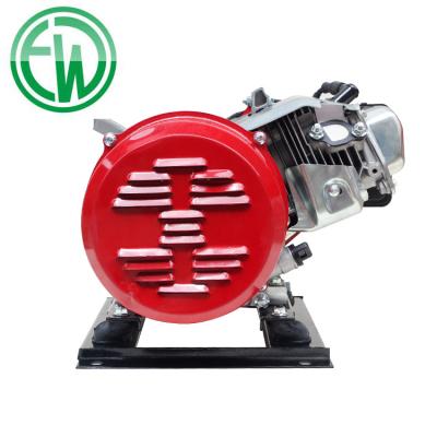 China 2020 China 48V 60V DC Electric Generators For Small Electric Car 170-LF3000C for sale