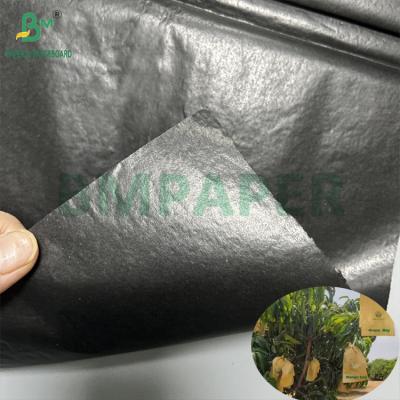 China Mango Growing Protection Bag Glossy 30gsm Inner Black Paper Roll Sunproof for sale