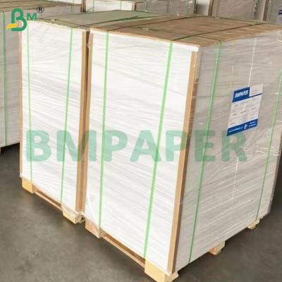 China 135-350 GSM High Stiffness Food Container Paper Roll for Paper Bowl for sale